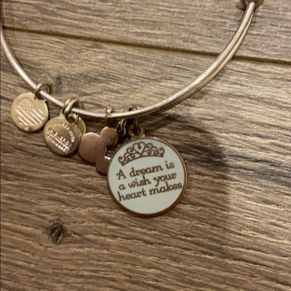 Alex and ani DISNEY BANGLE